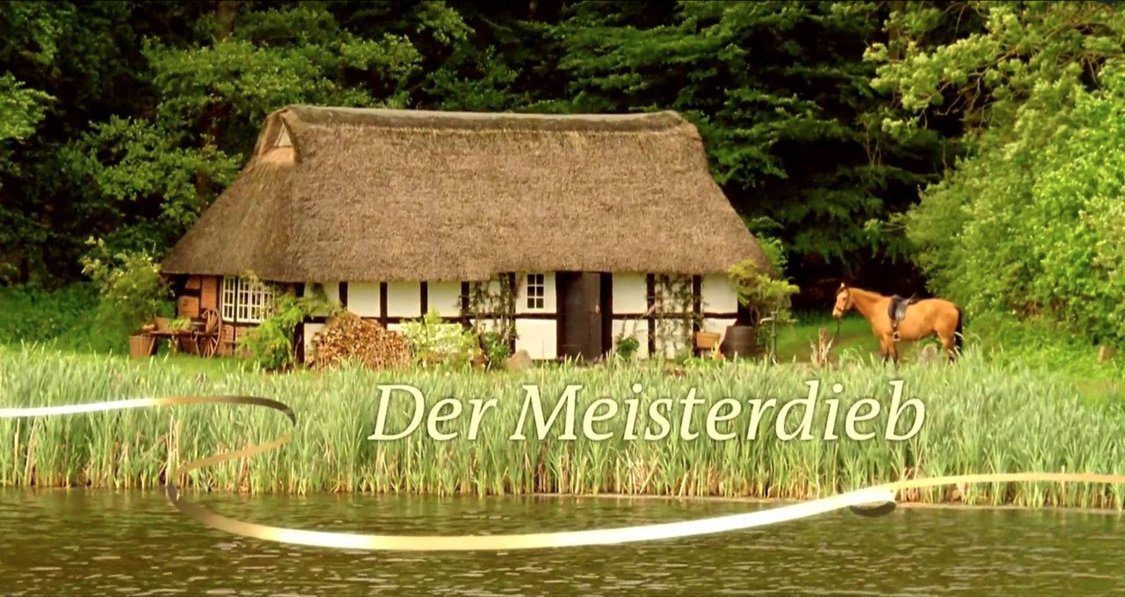 Der Meisterdieb